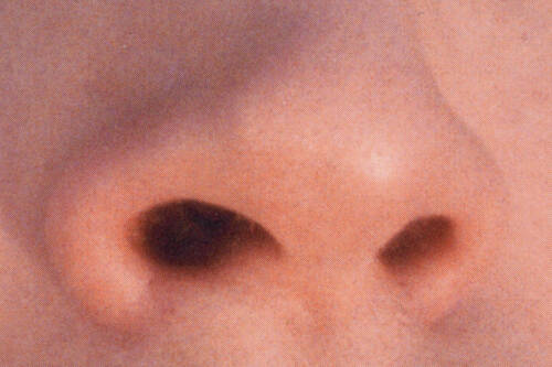 06 Ollie Schaich Studio Dafy Hagai Spring Zoom 10